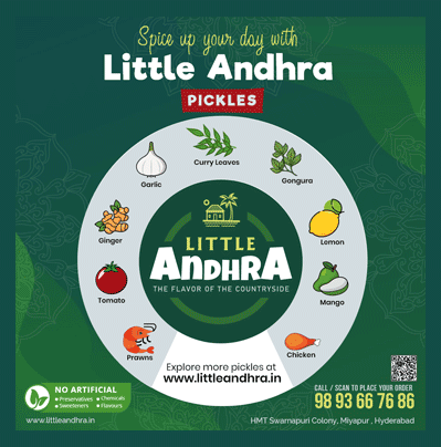 Little Andhra